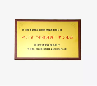 四川省“专精特新”企业